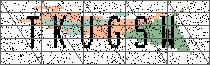 Carregando captcha...