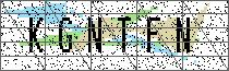 Carregando captcha...