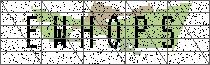 Carregando captcha...