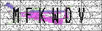 Carregando captcha...