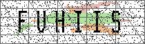 Carregando captcha...
