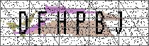 Carregando captcha...