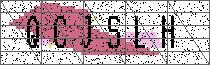Carregando captcha...