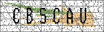 Carregando captcha...