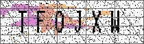 Carregando captcha...