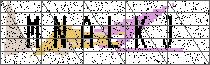Carregando captcha...