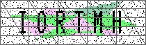 Carregando captcha...