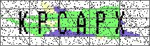 Carregando captcha...