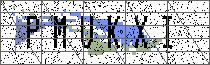 Carregando captcha...