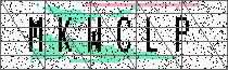 Carregando captcha...