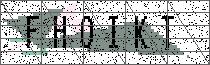 Carregando captcha...