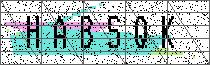 Carregando captcha...
