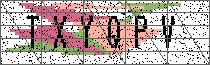 Carregando captcha...