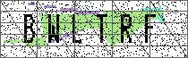 Carregando captcha...
