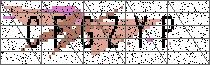 Carregando captcha...