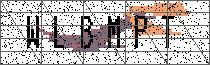 Carregando captcha...