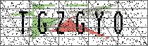 Carregando captcha...