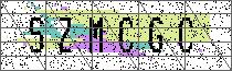 Carregando captcha...