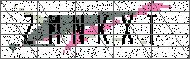 Carregando captcha...